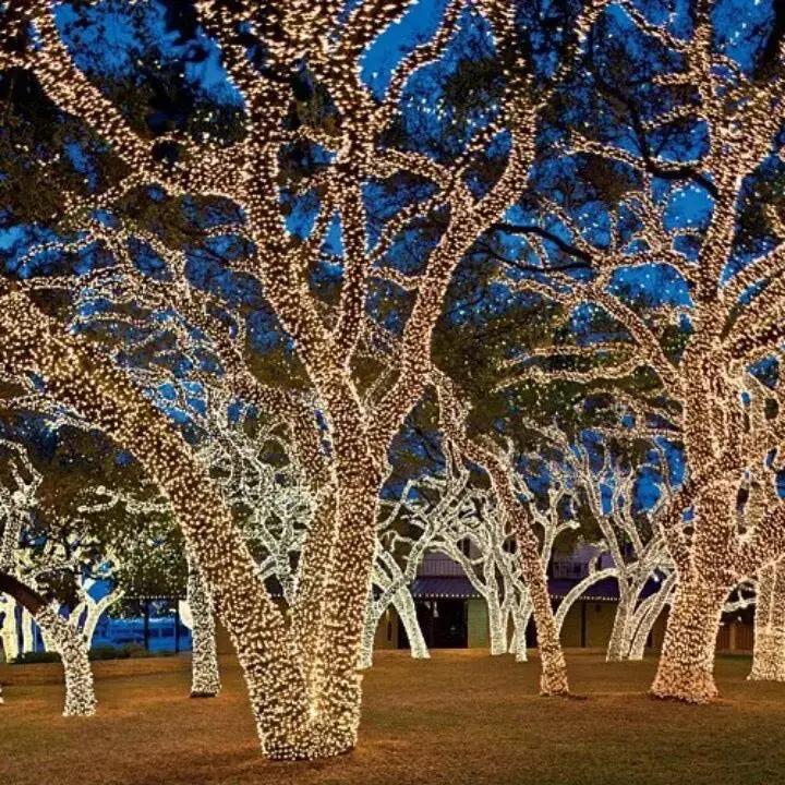 Guirlande lumineuse LED en forme de pétard avec télécommande