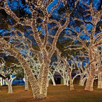 Guirlande lumineuse LED en forme de pétard avec télécommande